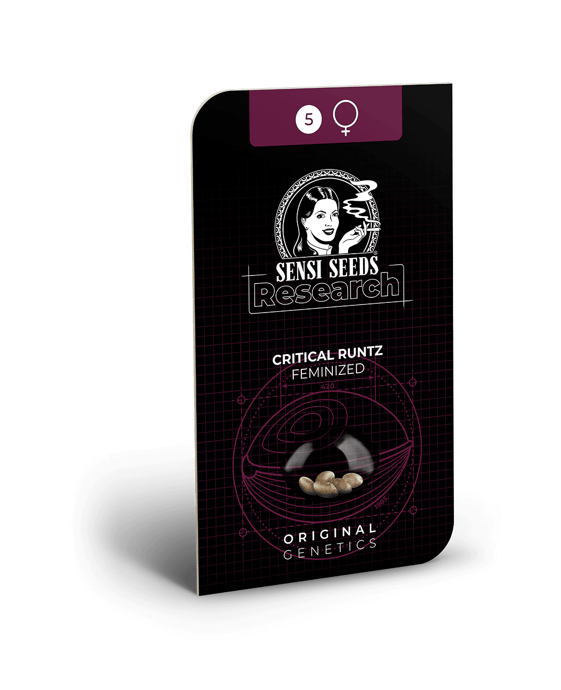 Critical Runtz Feminized Seeds - Image 2