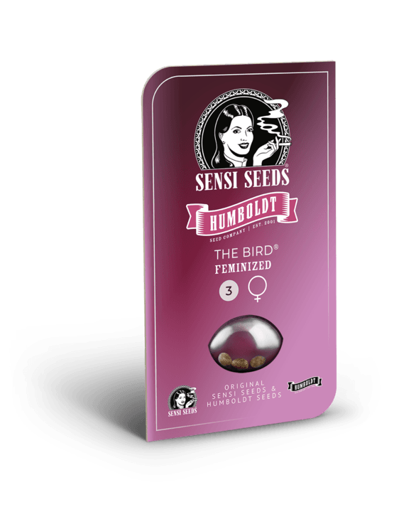 The Bird Feminized Seeds - Image 2