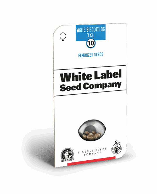 Image result for White Biscotti OG XXL Feminized Seeds by White Label - Sensi Seeds US