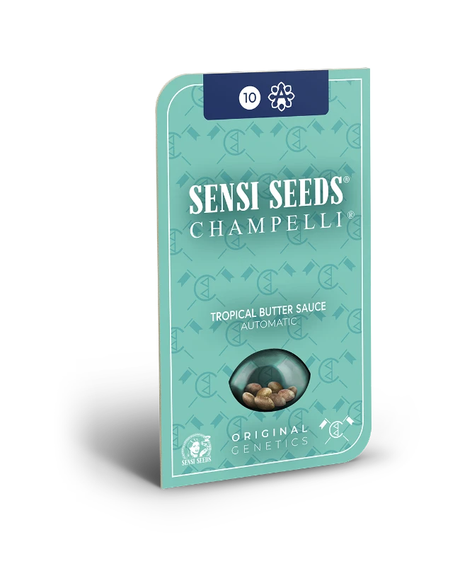 Tropical Butter Sauce Automatic Seeds - Image 2