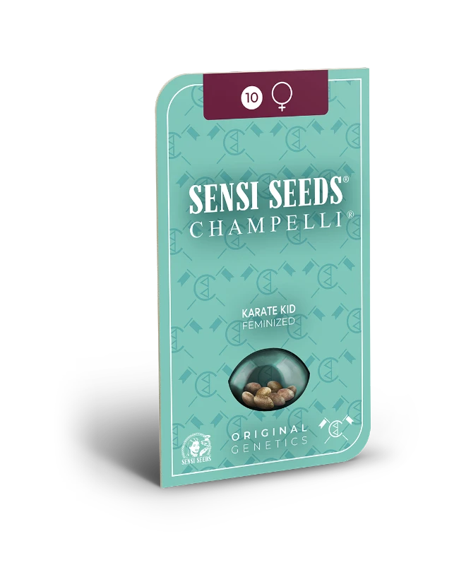 Karate Kid Feminized Seeds - Image 2