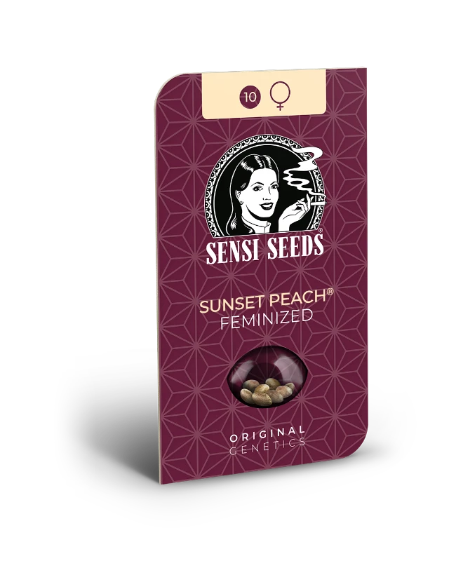 Sunset Peach Feminized Seeds - Image 2