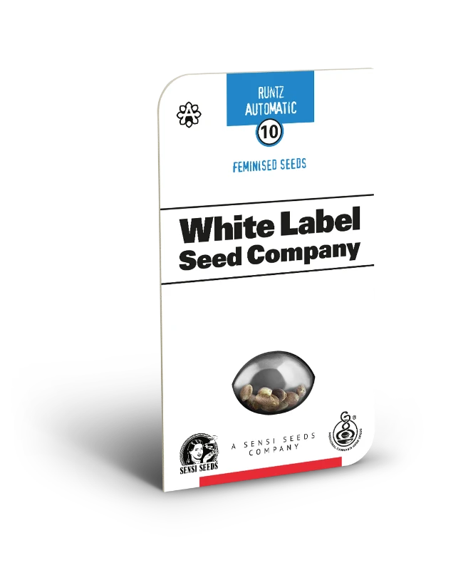 Runtz Automatic Seeds - Image 2