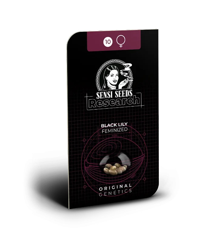 Black Lily Feminized Seeds - Image 2